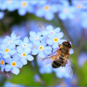 ImpactLens Photography