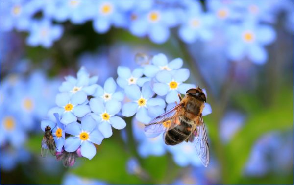 ImpactLens Photography